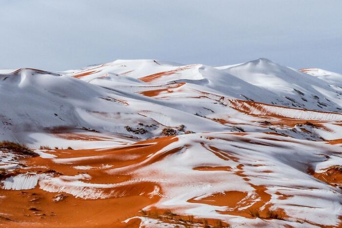 The Sahara Desert With A Snowfall On It