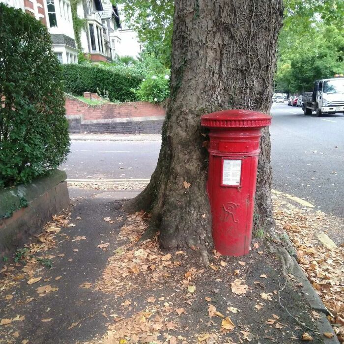 A Victorian-Era Post Box Being Slowly Swallowed By A Tree
