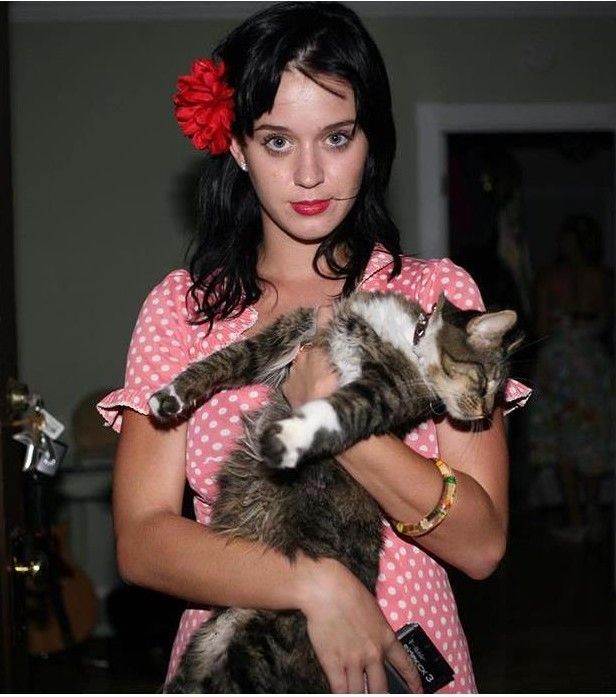 27 Of Your Favorite Celebrities Who Are Obsessed With Their Cats