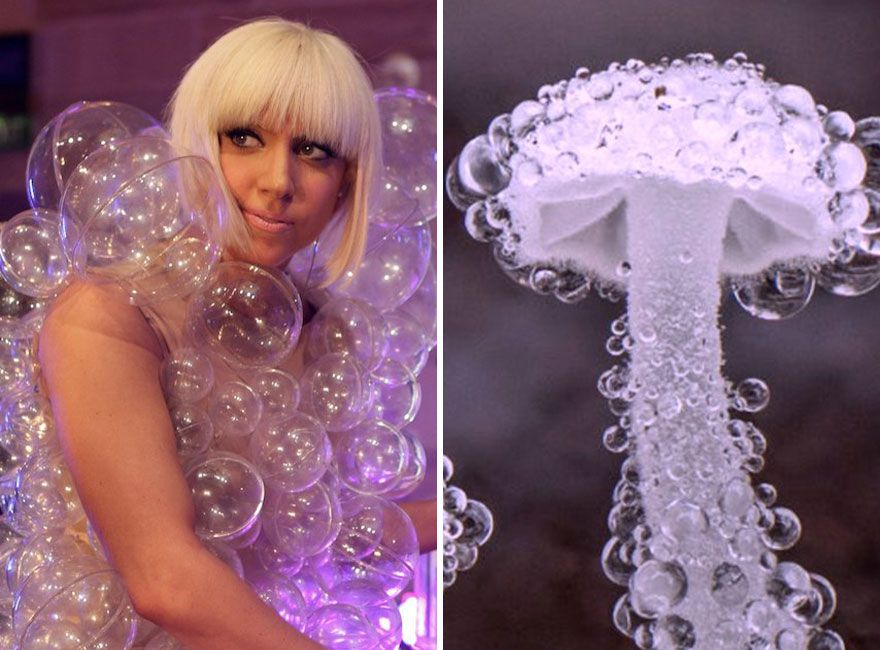 Who Wore It Better? Lady Gaga’s Iconic Looks Compared To Different Mushrooms