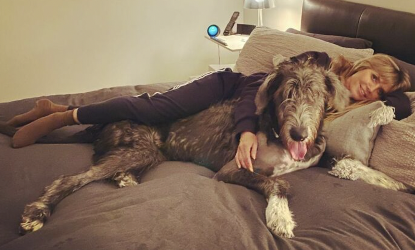 30 Celebs Who Are Obsessed With Their Dogs