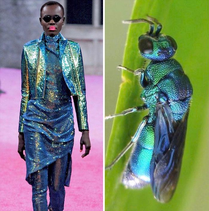 Nature Offers The Best Fashion Inspiration, And Here Are 30 Of The Best