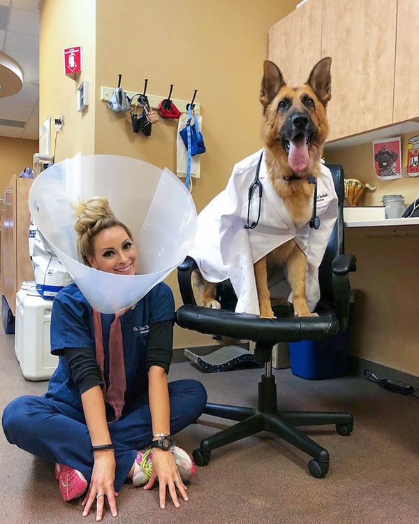 50 Vets Share Their Adorably Cute Patients At Work